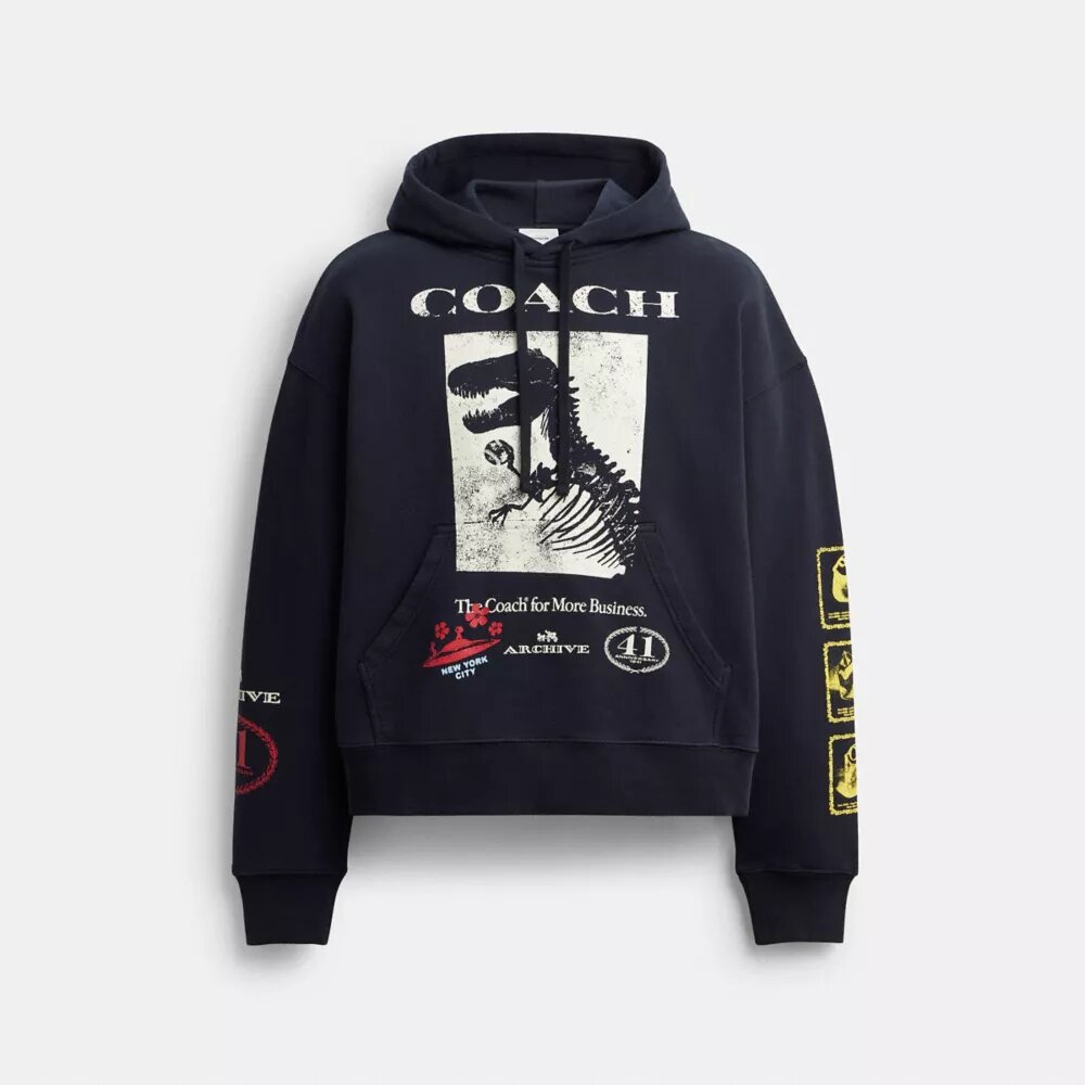 Dinosaur Collage Relaxed Hoodie in Organic Cotton