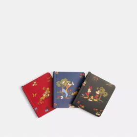 Disney X Coach Mini Notebook Set with Mickey Mouse and Friends