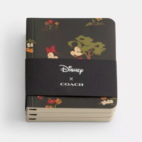 Disney X Coach Mini Notebook Set with Mickey Mouse and Friends