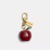 Diy Apple Charm
