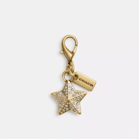 Diy Crystal Star Charm