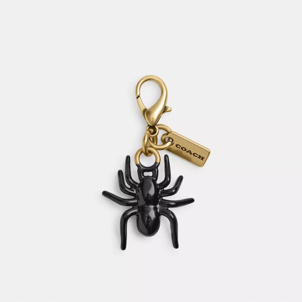 Diy Spider Charm