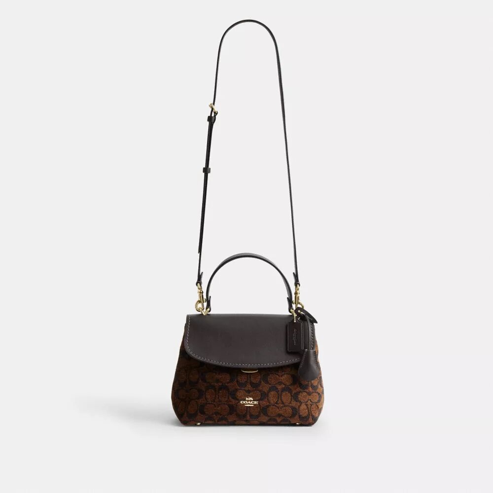 Emory Top Handle Bag in Signature Chenille