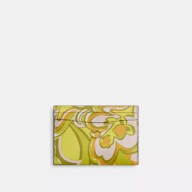 Essential Card Case with Paisley Print
