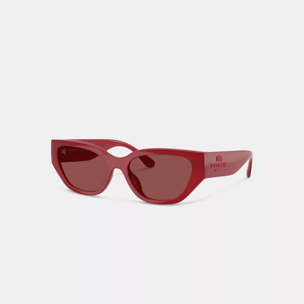 Geometric Cat Eye Sunglasses