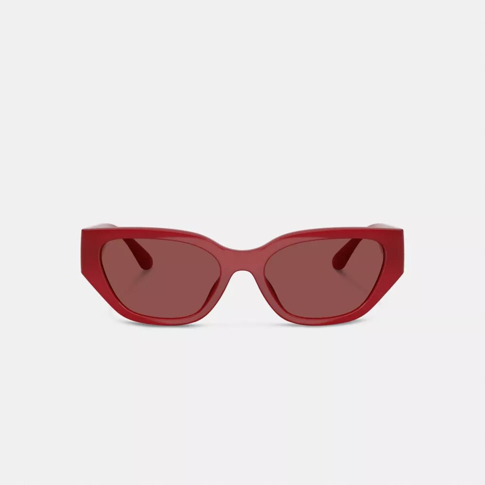 Geometric Cat Eye Sunglasses