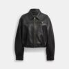 Heritage C Cropped Blouson Jacket