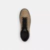 High Line High Top Sneaker in Signature Canvas