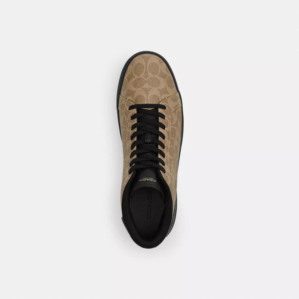 High Line High Top Sneaker in Signature Canvas