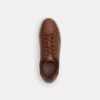 High Line Sneaker