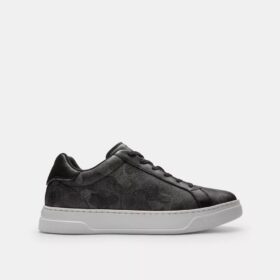 High Line Sneaker in Signature Camo Print