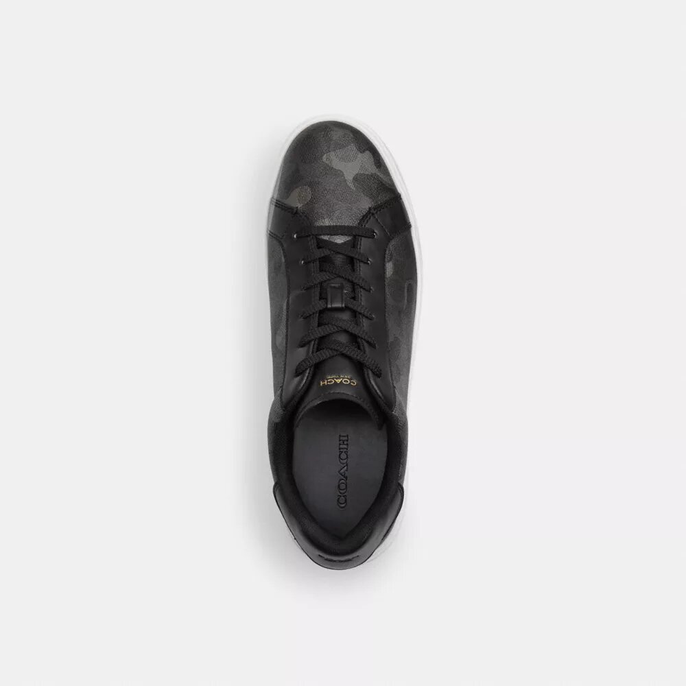 High Line Sneaker in Signature Camo Print