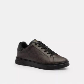 High Line Sneaker in Signature Canvas