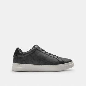 High Line Sneaker in Signature Canvas