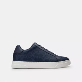 High Line Sneaker in Signature Canvas