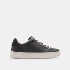 High Line Sneaker in Signature Canvas
