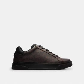 High Line Sneaker in Signature Canvas