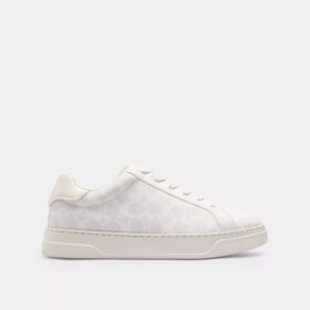 High Line Sneaker in Signature Canvas