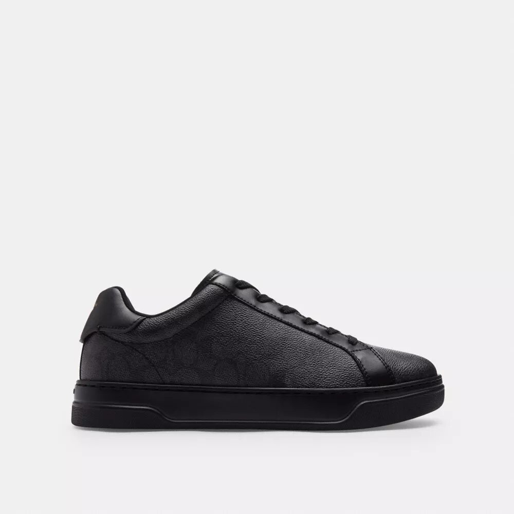High Line Sneaker in Signature Canvas