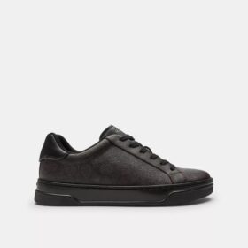 High Line Sneaker in Signature Canvas
