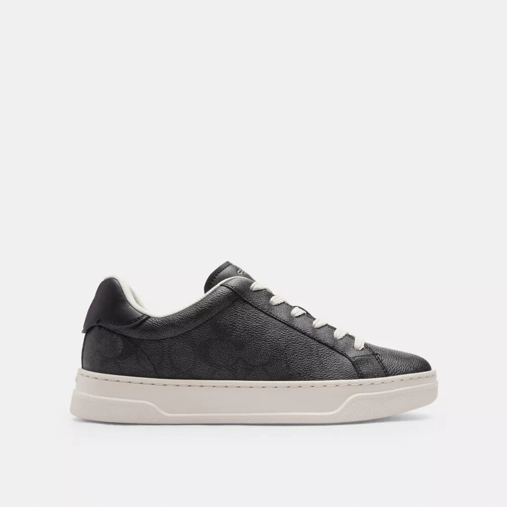 High Line Sneaker in Signature Canvas