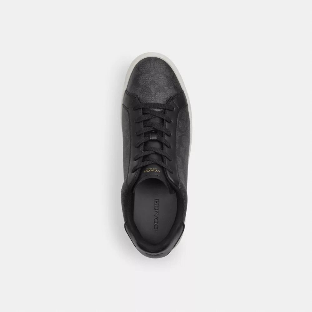 High Line Sneaker in Signature Canvas