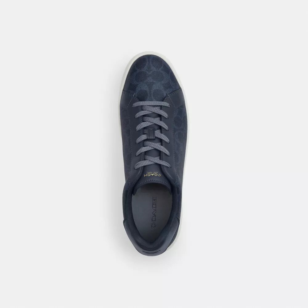 High Line Sneaker in Signature Canvas