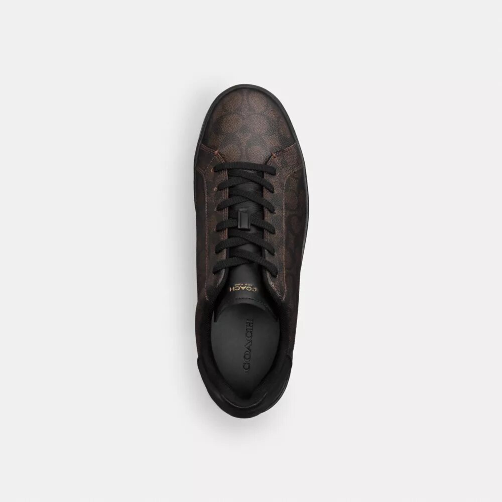 High Line Sneaker in Signature Canvas