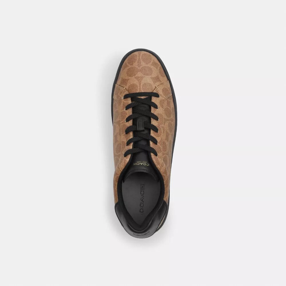 High Line Sneaker in Signature Canvas