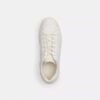 High Line Sneaker in Signature Canvas