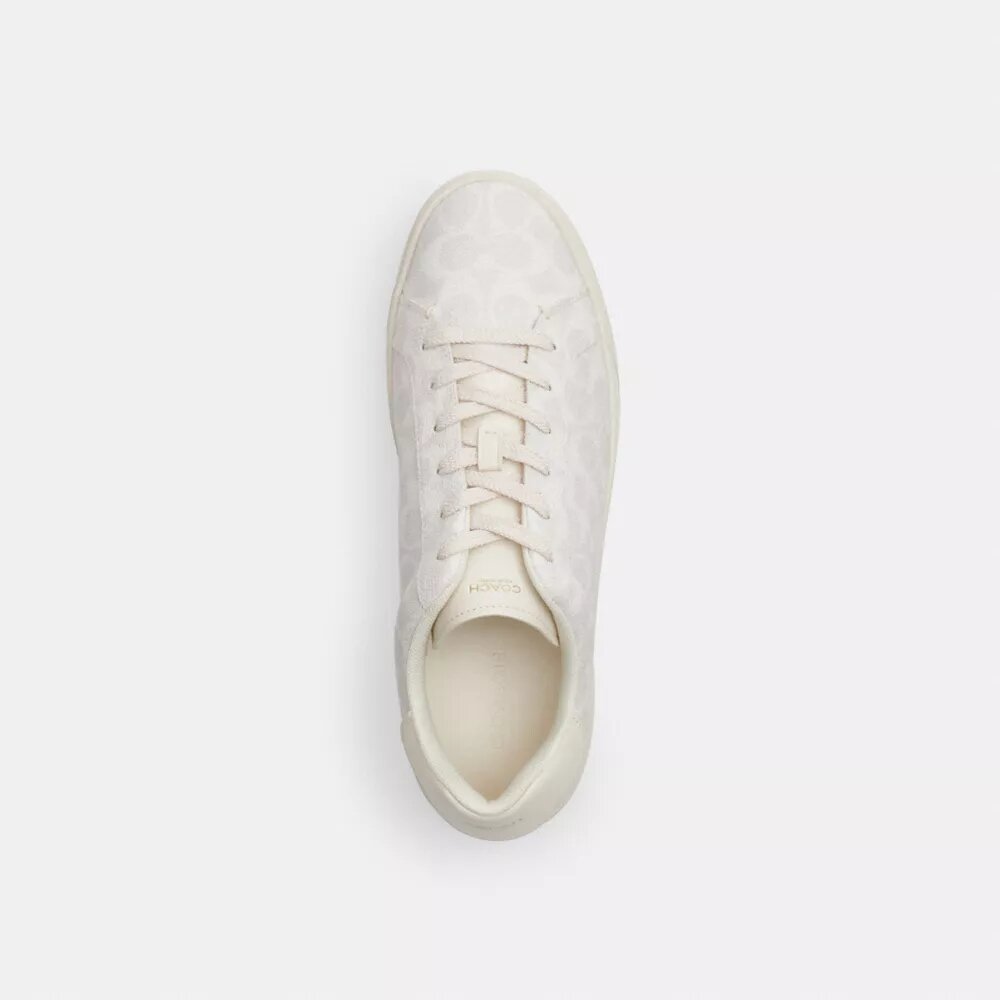 High Line Sneaker in Signature Canvas