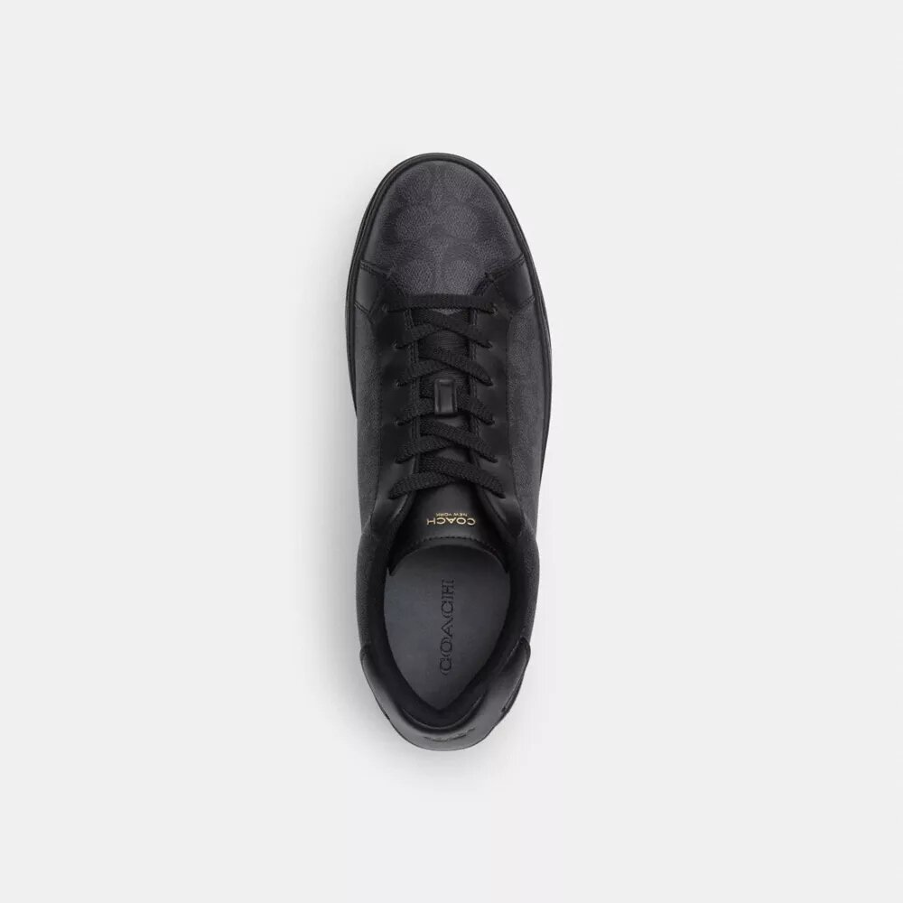 High Line Sneaker in Signature Canvas