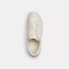 High Line Sneaker in Signature Canvas