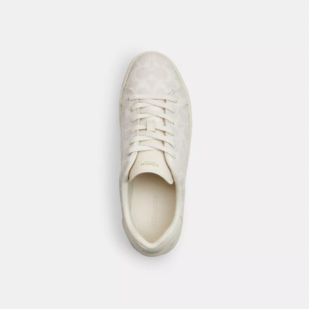 High Line Sneaker in Signature Canvas