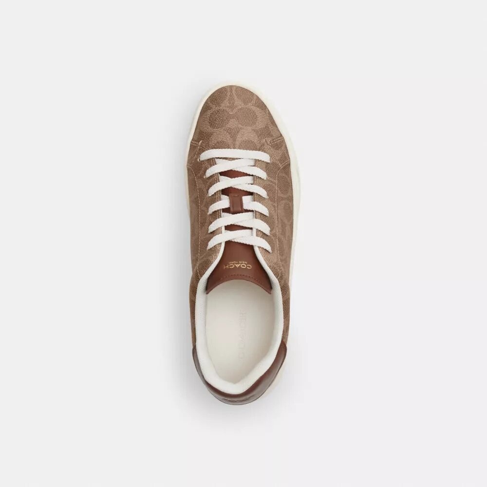 High Line Sneaker in Signature Canvas