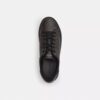 High Line Sneaker in Signature Canvas