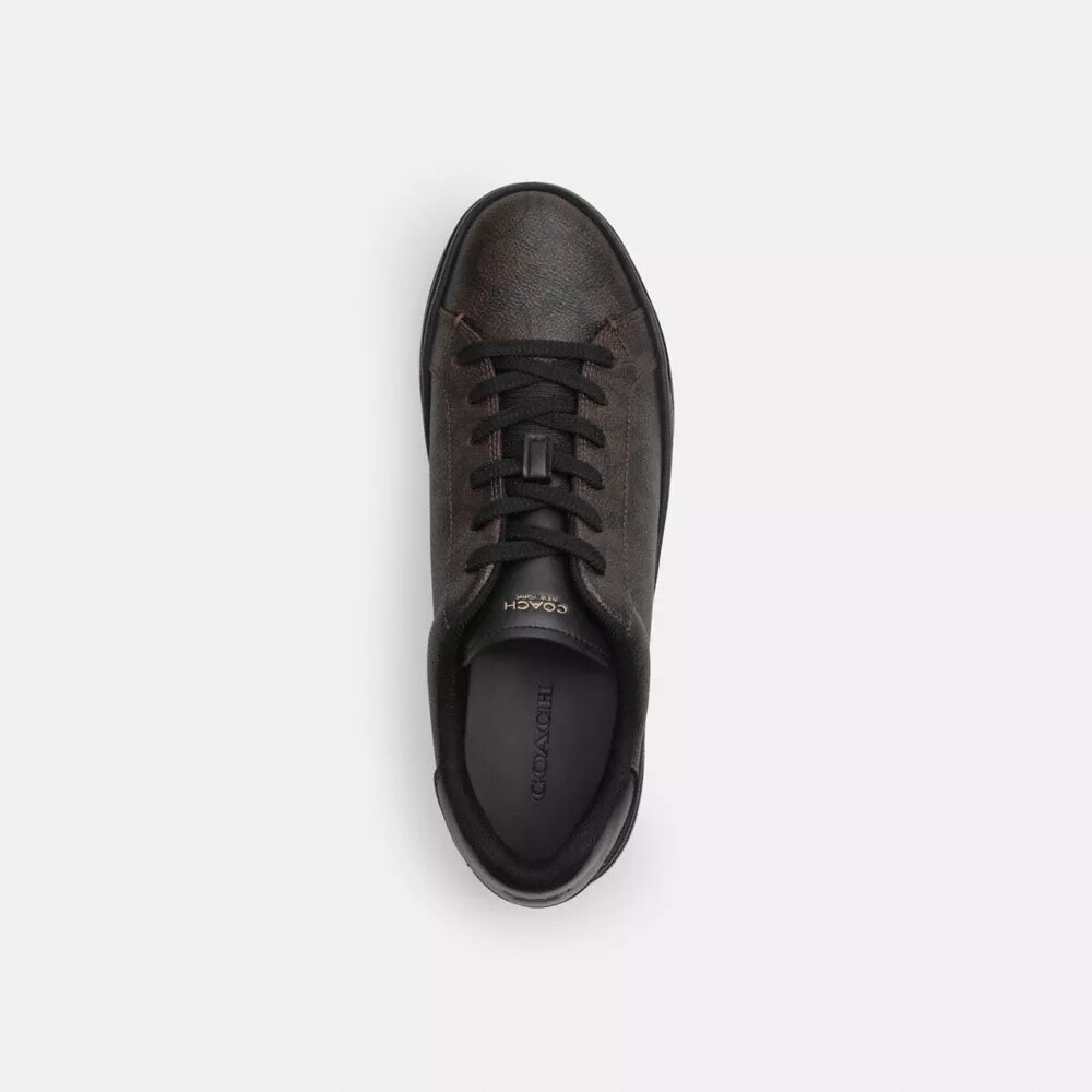High Line Sneaker in Signature Canvas