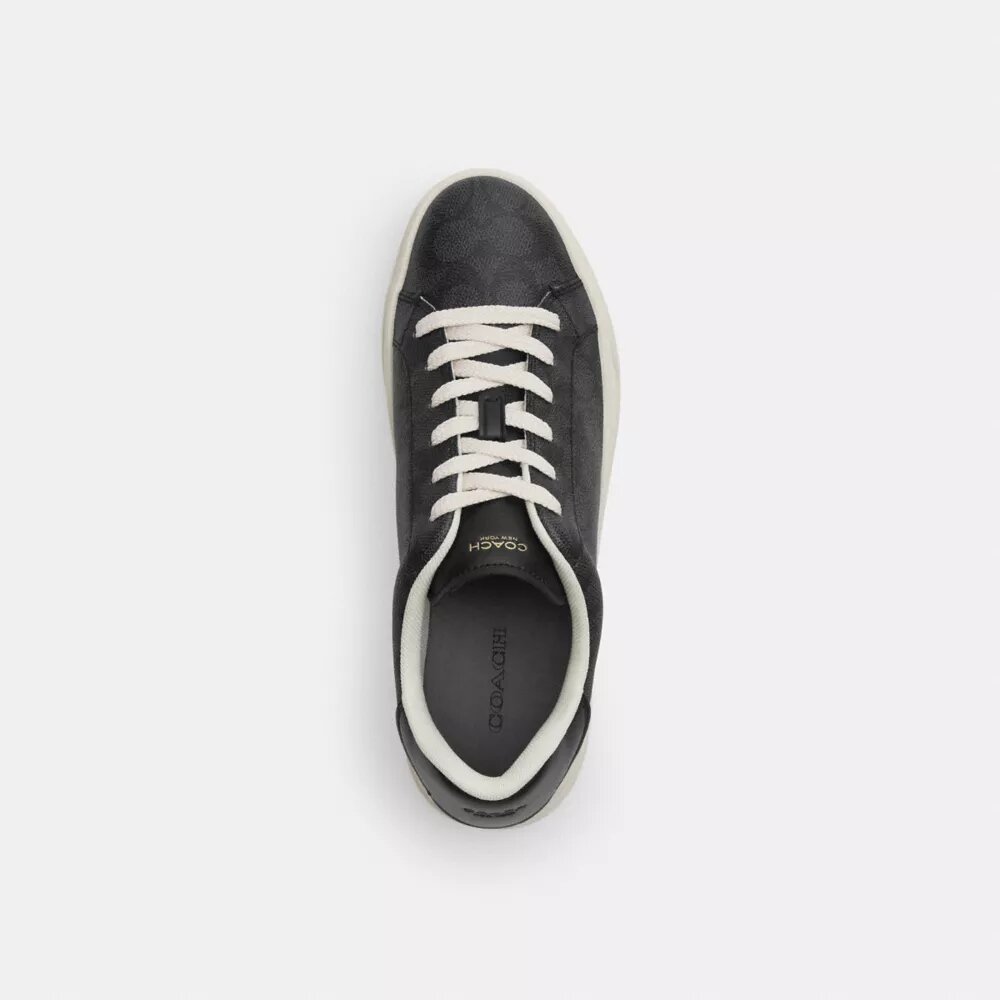 High Line Sneaker in Signature Canvas