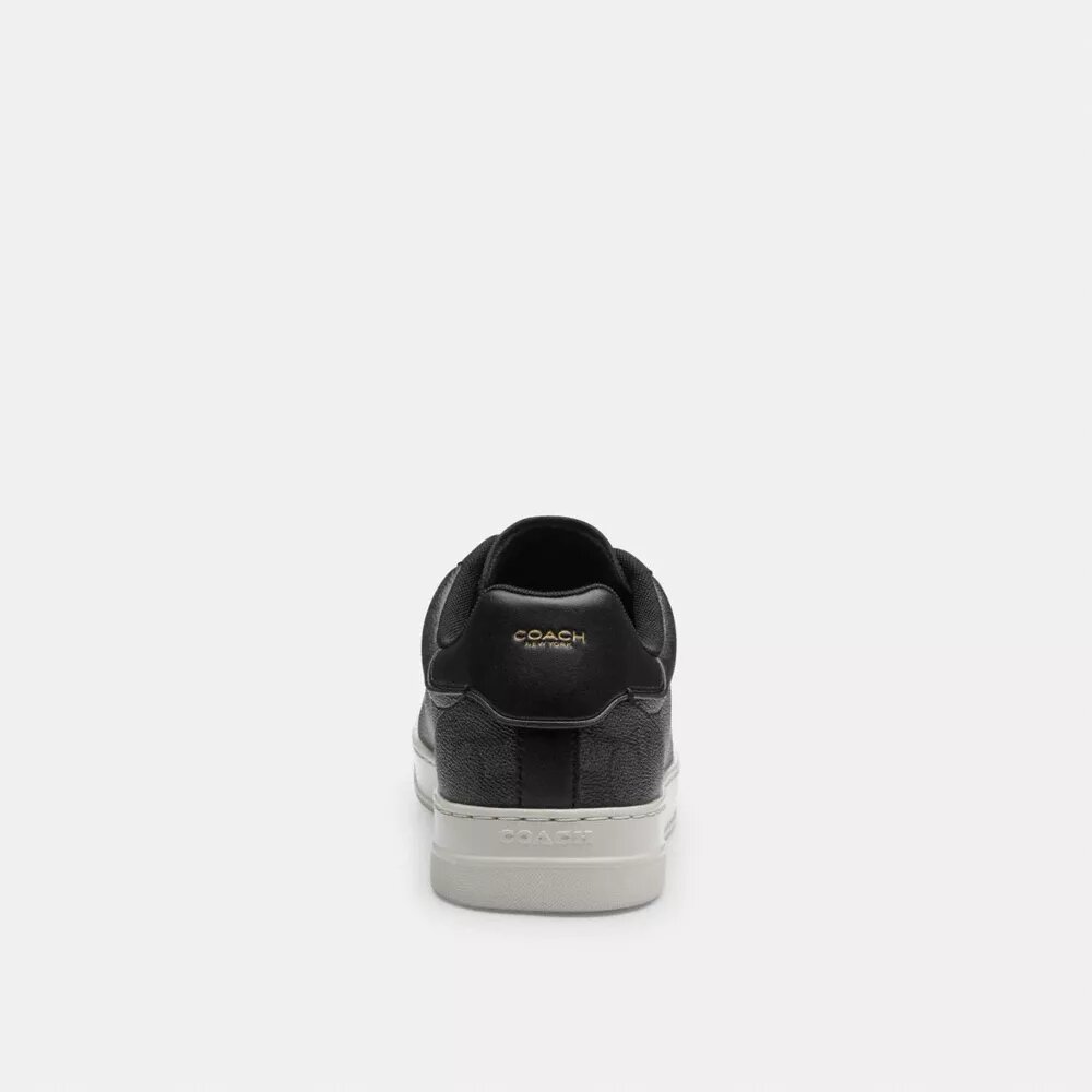 High Line Sneaker in Signature Canvas