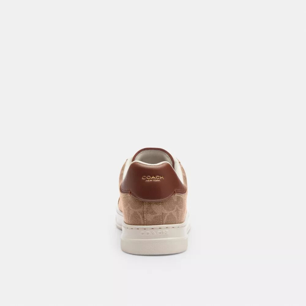 High Line Sneaker in Signature Canvas