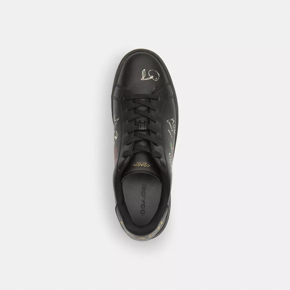High Line Sneaker with Sketch Print