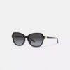 Hinged Horse and Carriage Square Sunglasses