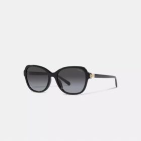 Hinged Horse and Carriage Square Sunglasses