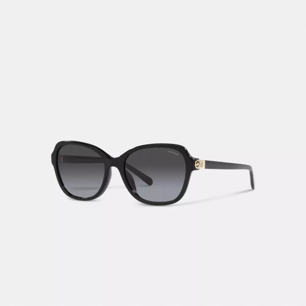Hinged Horse and Carriage Square Sunglasses