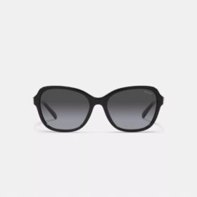 Hinged Horse and Carriage Square Sunglasses