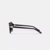 Hinged Horse and Carriage Square Sunglasses