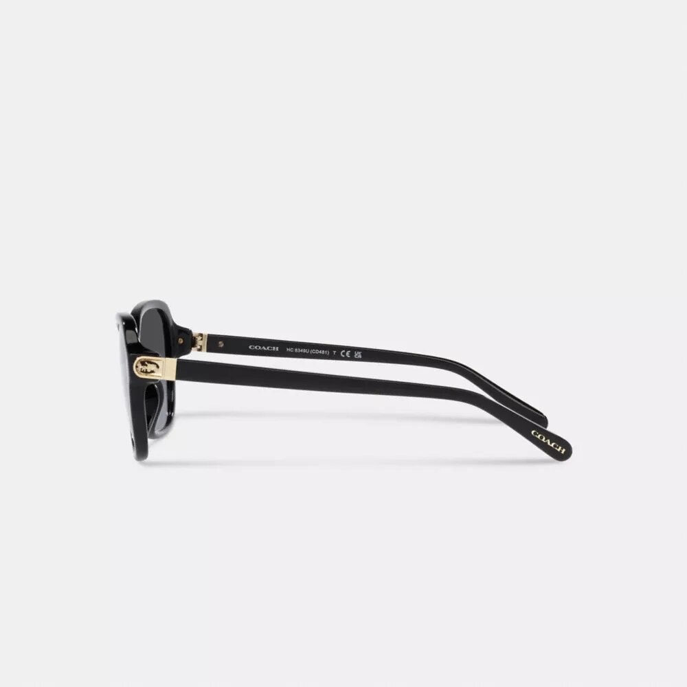 Hinged Horse and Carriage Square Sunglasses