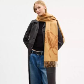 Horse and Carriage Cashmere Muffler