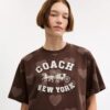 Horse and Carriage Heart Cropped T-Shirt in Organic Cotton