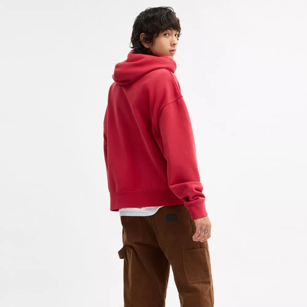 Horse and Carriage Hoodie